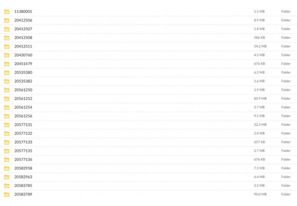 Flash Files for Voloo ECU ECM Programming (4)